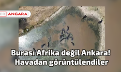 Burası Afrika değil Ankara! Havadan görüntülendiler