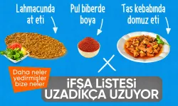 Sağlığı tehlikeye atan gıdalar listesine yenileri eklendi