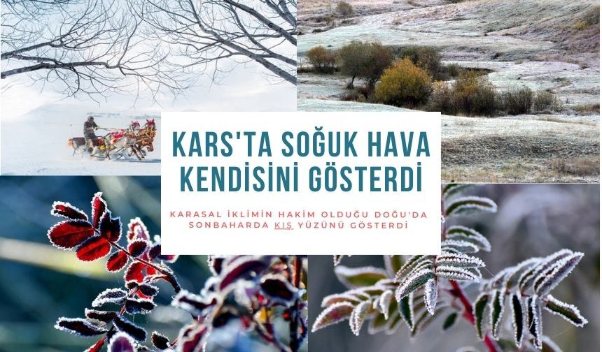 Kars'ta soğuk hava kendisini gösterdi