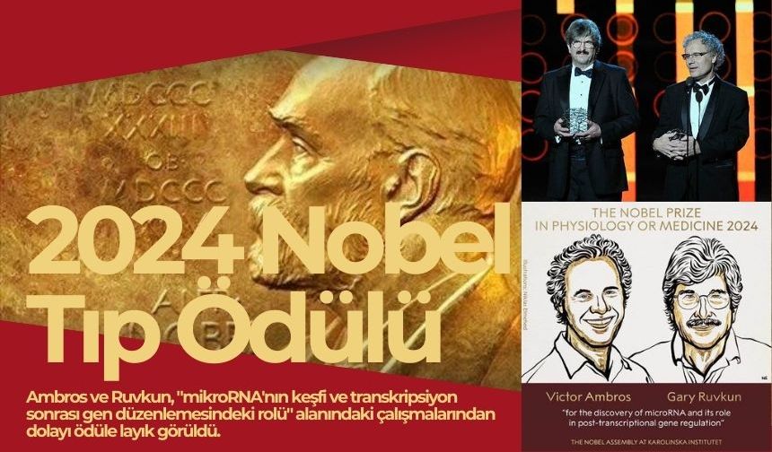 2024 Nobel Tıp Ödülü "microRNA keşfinden" dolayı ABD'li Victor Ambros ve Gary Ruvkun'a verildi.